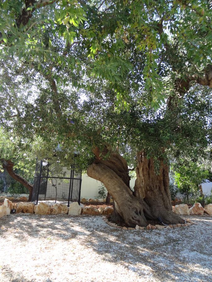 L'Antico Casolare Bed & Breakfast Castellana Grotte Exterior photo